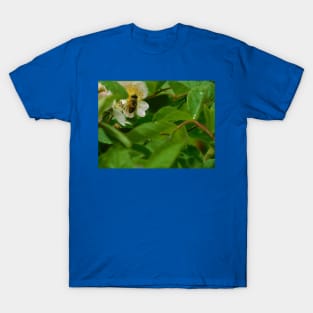 The Pollinator T-Shirt